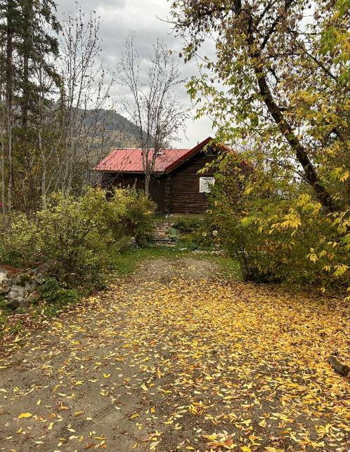 Morning Star Log Cabin Нельсон Экстерьер фото